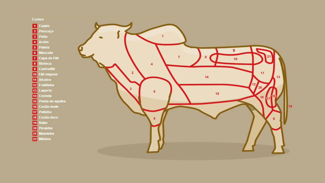 Classificação das Carnes